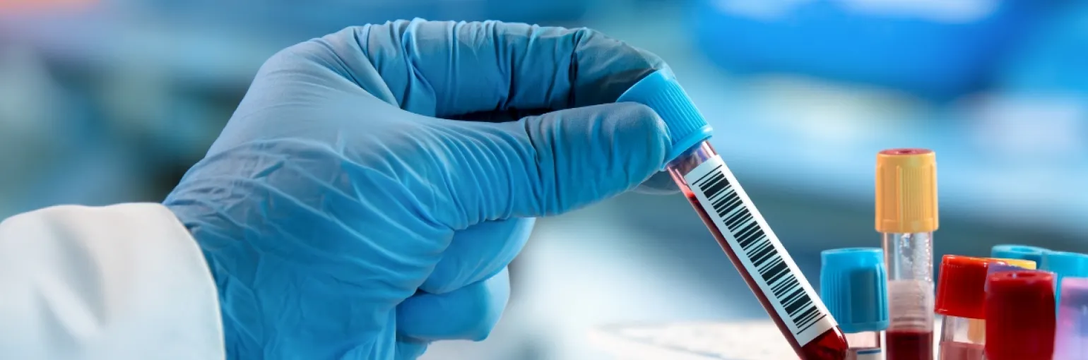 lab