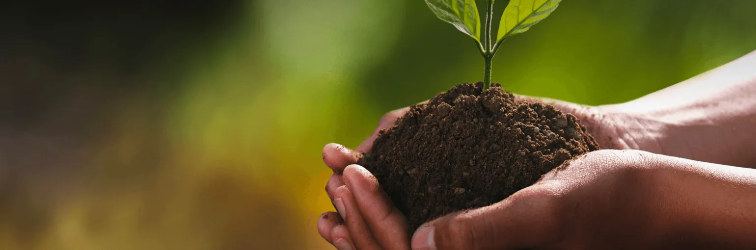 sustainability